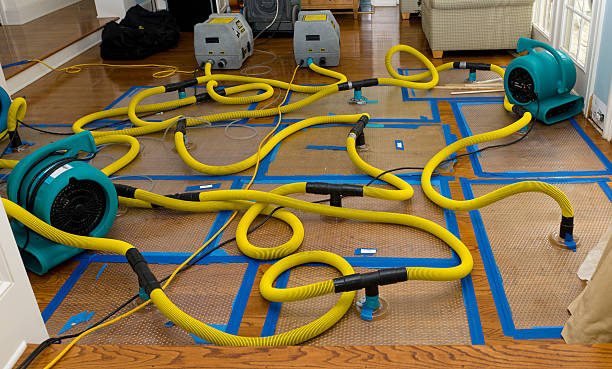 Professional Water Extraction technician working in Strafford, MO